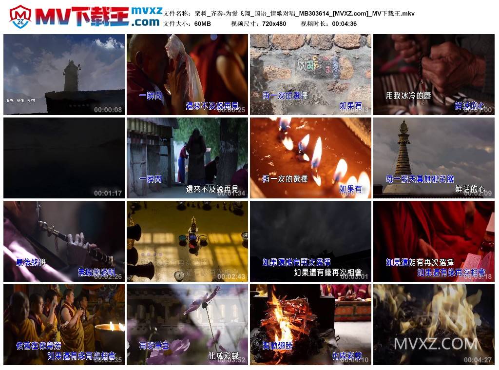 栾树_齐秦-为爱飞翔_国语_情歌对唱_MB303614